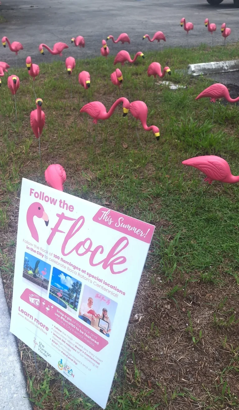 Boca’s Flamingo Flock Finale